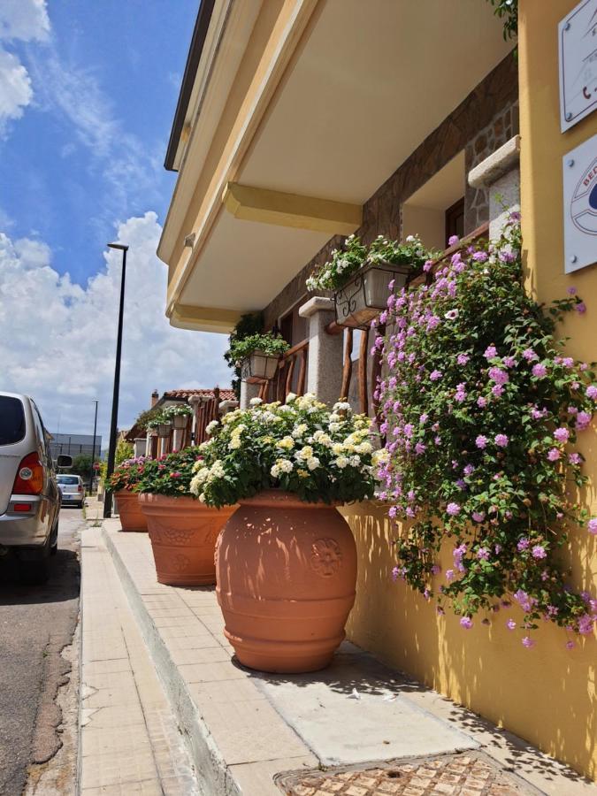 Al Pez Exclusive Rooms Olbia Bagian luar foto